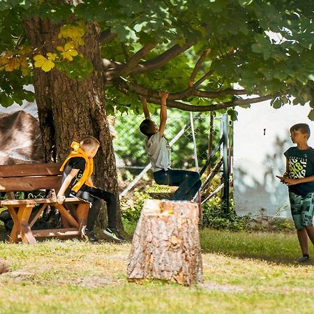 Arche Siedlisko Pilka Daire Lubliniec Dış mekan fotoğraf