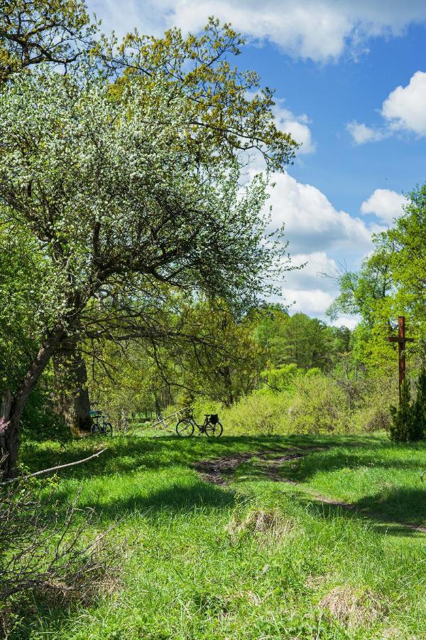 Arche Siedlisko Pilka Daire Lubliniec Dış mekan fotoğraf